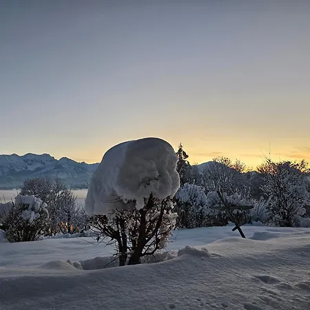 Amberg Hopfen Am // Hopfensee // Füssen