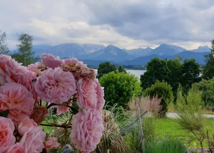 Daire Amberg Hopfen Am // Hopfensee //