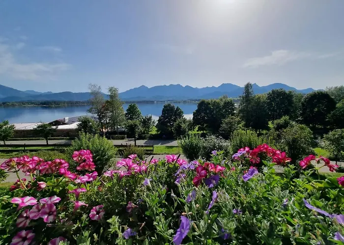 Amberg Hopfen Am // Hopfensee //