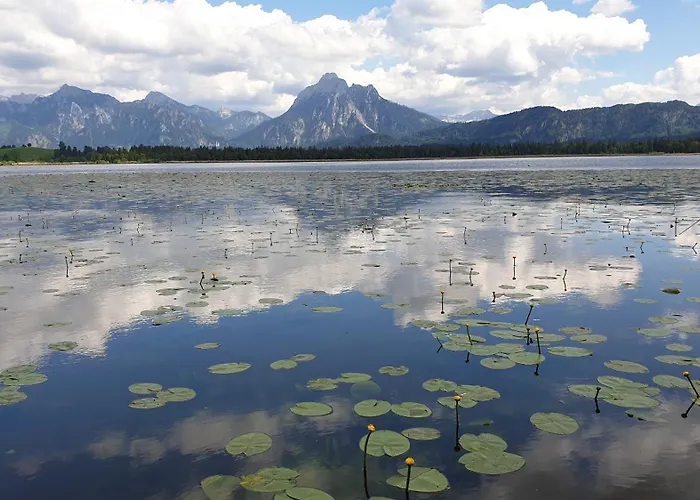 Amberg Hopfen Am // Hopfensee // Daire Füssen
