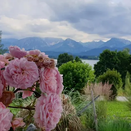 アパート Amberg Hopfen Am // Hopfensee //