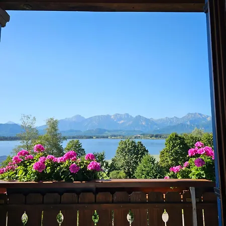 Amberg Hopfen Am // Hopfensee // * フュッセン