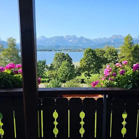 Amberg Hopfen Am // Hopfensee // フュッセン