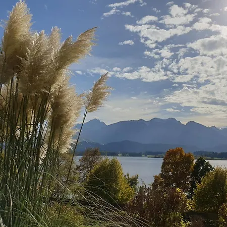 Amberg Hopfen Am // Hopfensee // アパート