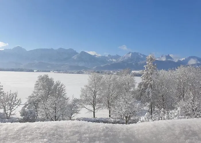 Amberg Hopfen Am // Hopfensee // *