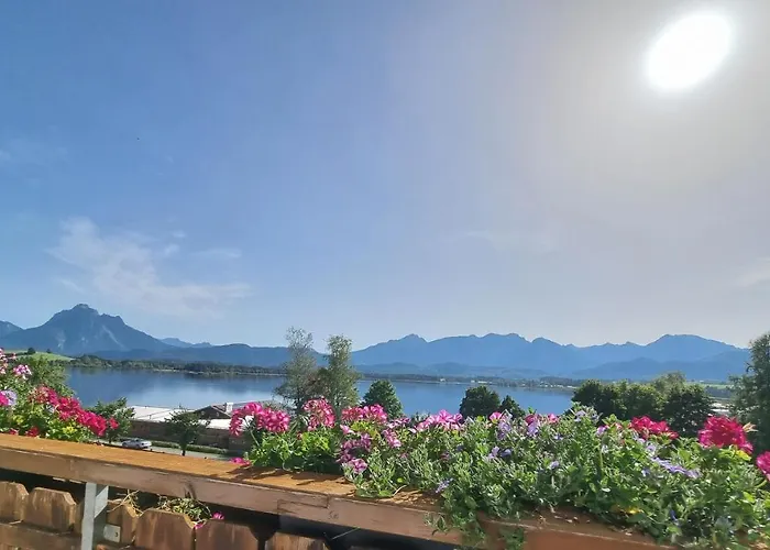 Amberg Hopfen Am // Hopfensee // Füssen