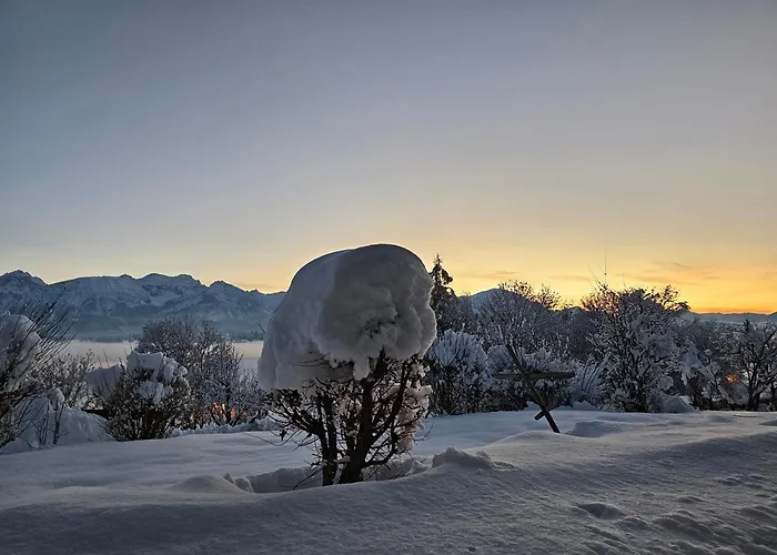 Amberg Hopfen Am // Hopfensee // Fussen