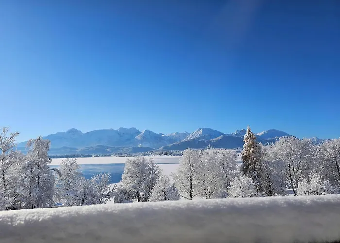 Amberg Hopfen Am // Hopfensee //